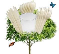 Convierten Árboles en Plásticos Convierten Árboles en Plásticos