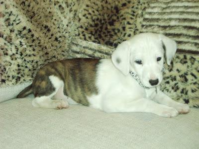MANUELA CON MES Y MEDIO LA CONFUNDEN CON PELOTA DE VOLEIBOL.