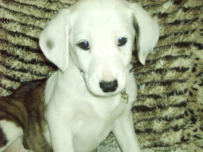 MANUELA CON MES Y MEDIO LA CONFUNDEN CON PELOTA DE VOLEIBOL.
