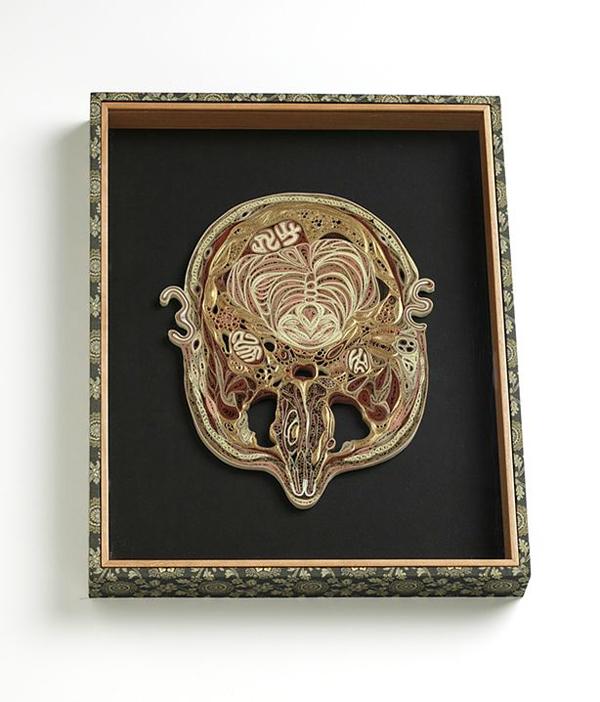 Anatomía en rollos de papel