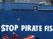 Piratas, pesca ilegal