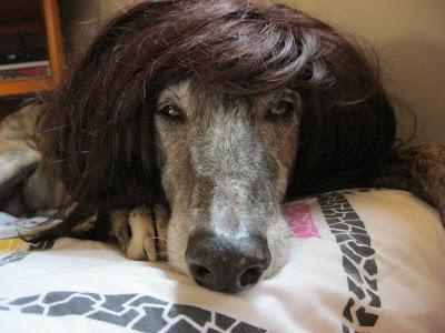 Cuando alguien no sabe que hacer....