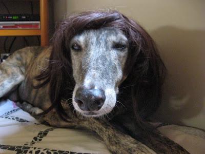 Cuando alguien no sabe que hacer....