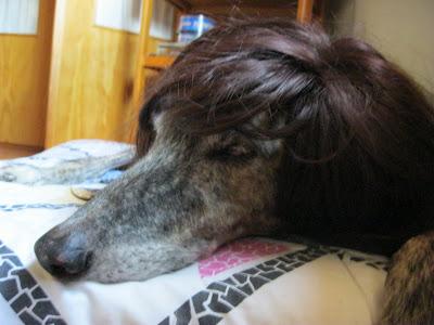 Cuando alguien no sabe que hacer....