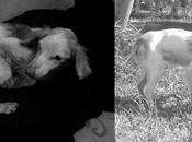 Berta, corre tras arcoiris