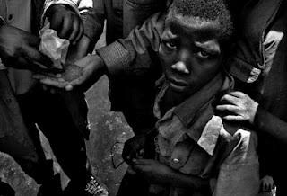 Diario de Jürgen Toepfer: perros