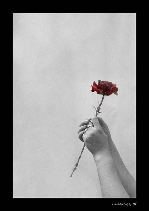 Pierre Teilhard de Chardin