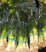 Propiedades del puerro