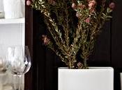 toque estilista decoración