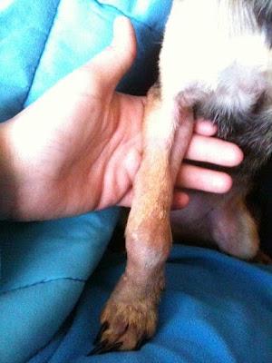 Vega, su vida no valía nada, operación urgente. (Sevilla)