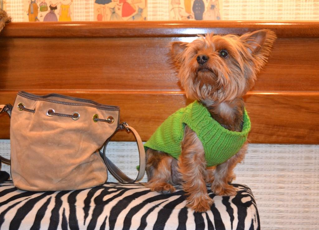 La moda de lo mini by Flora