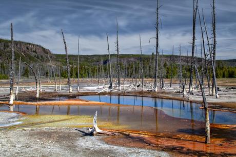 Kevin Cole – Fotografías Kevin Cole – Fotografías