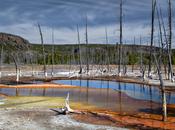 Kevin Cole Fotografías