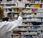 Alopatía versus Homeopatía