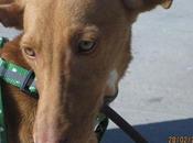 Salvada morir ahogada.Urgente