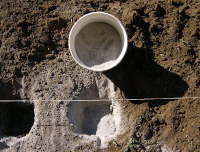 EL TRASPLANTE DE LAS PRIMERAS TOMATERAS DEL 2012