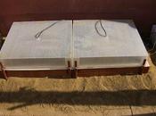 trasplante primeras tomateras 2012