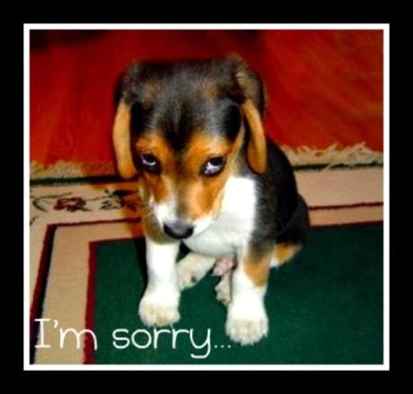 Leer por favore! Leer por favore!