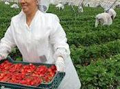 marzo, Mujeres Explotadas Ninguneadas