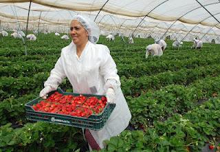 8 de marzo, el Día de las Mujeres Explotadas y Ninguneadas