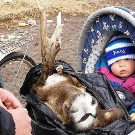 Padres dando ejemplo