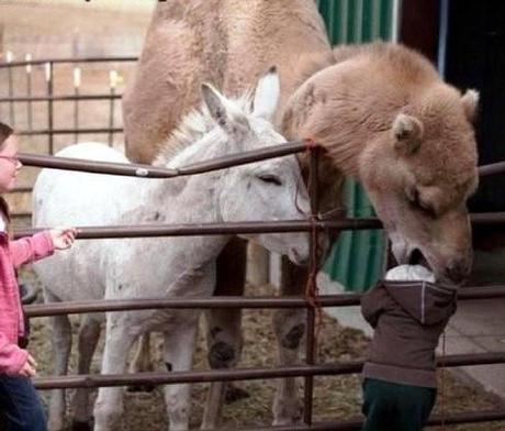 Padres dando ejemplo