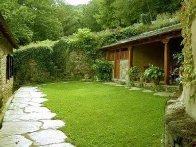 Fertilizar y cuidar el césped