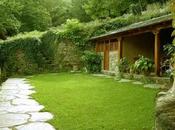 Fertilizar cuidar césped