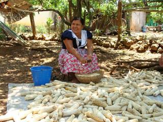 La mujer  gana menos que el hombre, STyFE ¡