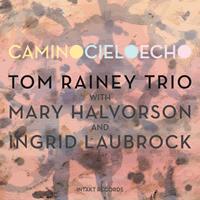 Tom Rainey Trio: Camino Cielo Echo (Intakt, 2012)