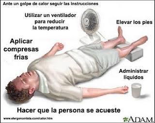 ¿Qué hacer ante una onda de calor?