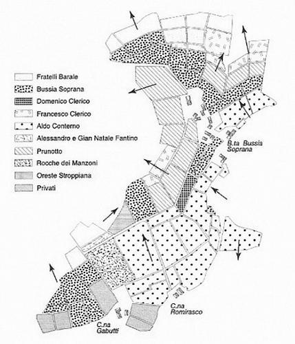 Monforte d'Alba vigneti