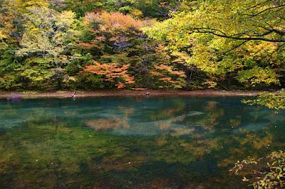 Jardines japoneses: wabi sabi
