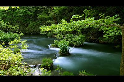 Jardines japoneses: wabi sabi