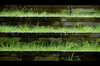 Jardines japoneses: wabi sabi