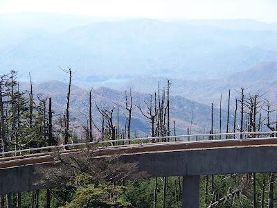 Southeast US: Día 3, 1ª parte, Great Smoky Mountains & Blue Ridge Parkway
