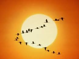 Decálogo de la madre según la psicogenealogía