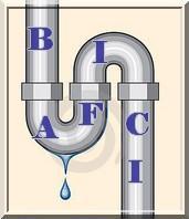 BAFICI 2012. Primeras filtraciones