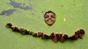 Smithsonian Magazine’s Annual Photo :: finalistas del concurso