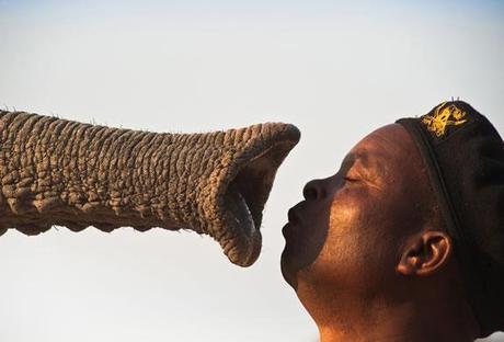 Smithsonian Magazine's Annual Photo :: finalistas del concurso