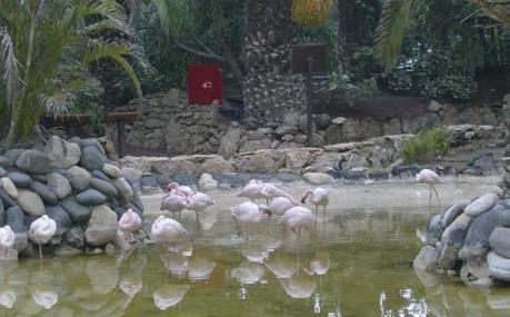 Oasis Park, Jugando con la Naturaleza