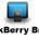 blackberry-bridge_0