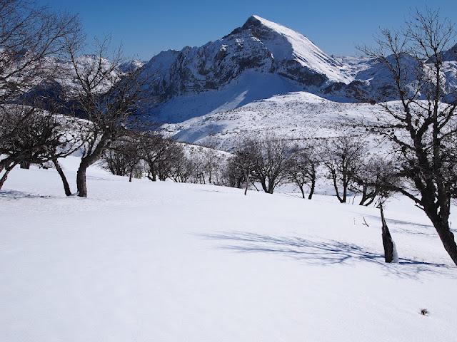 pico el mocosu