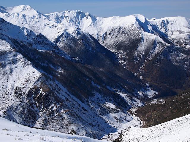 pico el mocosu