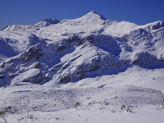 pico el mocosu