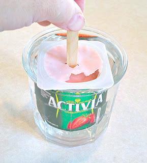 HELADOS DE YOGURT EN UN PLIS PLAS