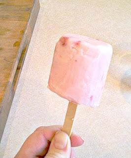 HELADOS DE YOGURT EN UN PLIS PLAS