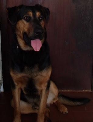 MUY URGENTE, Le quedan días de vida. (CATALUÑA)