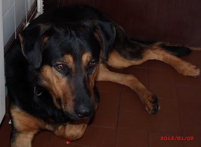 MUY URGENTE, Le quedan días de vida. (CATALUÑA)