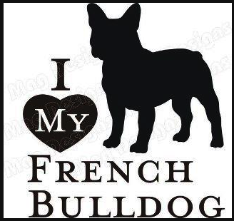 I love my French Bulldog